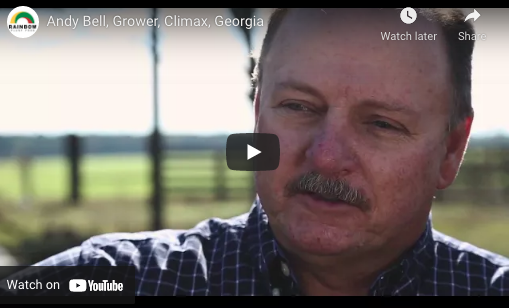 Andy Bell, Grower, Climax, Georgia