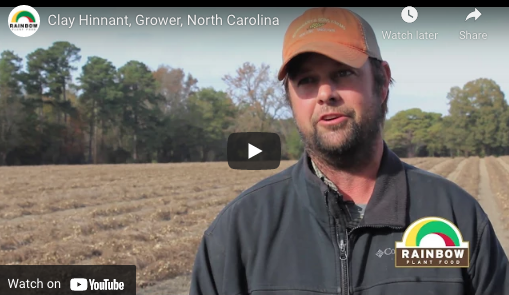 Clay Hinnant, Grower, North Carolina