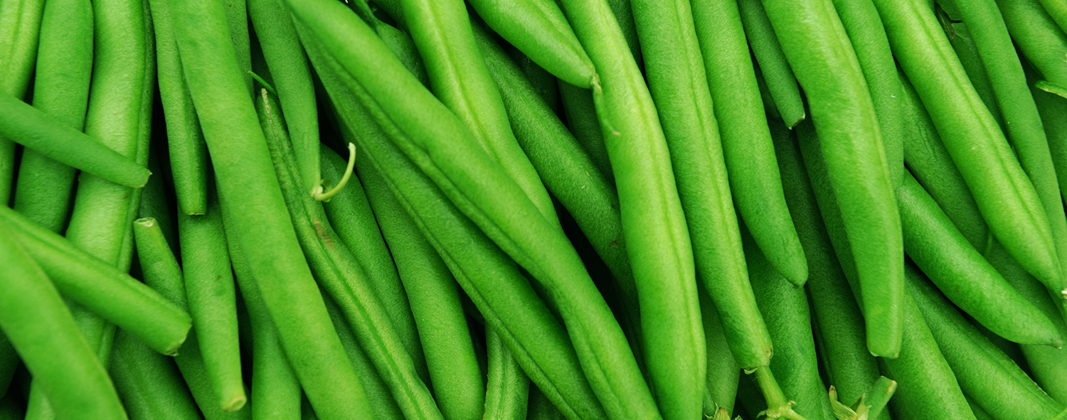 Nutrition for increased green bean quality