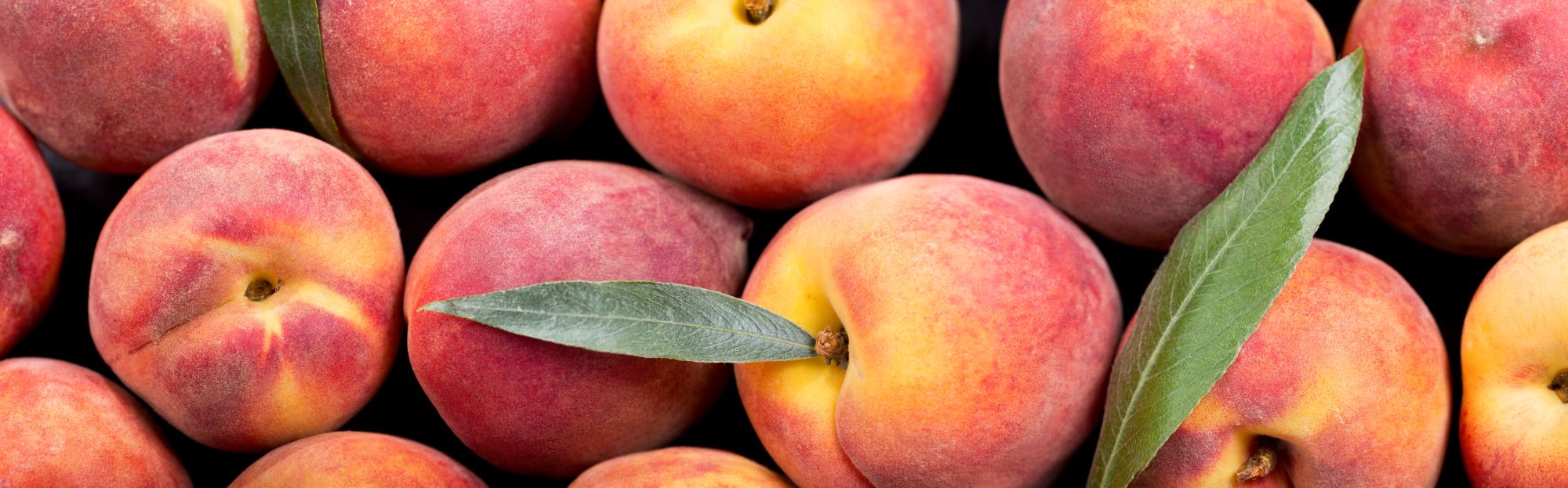Optimized nutrition for your peach crop