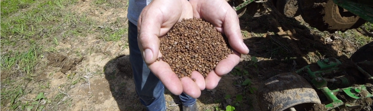 Growers share their Rainbow Plant Food results in a challenging year