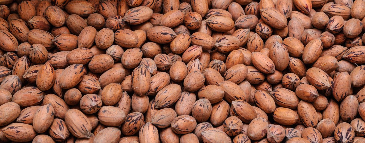 Balanced nutrition for pecans