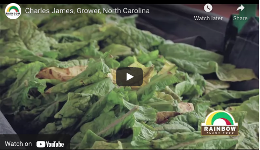 Charles James, Grower, North Carolina