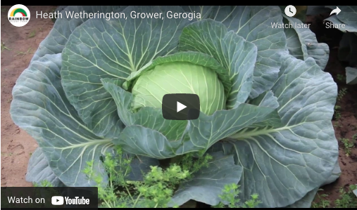 Heath Wetherington, Grower, Georgia