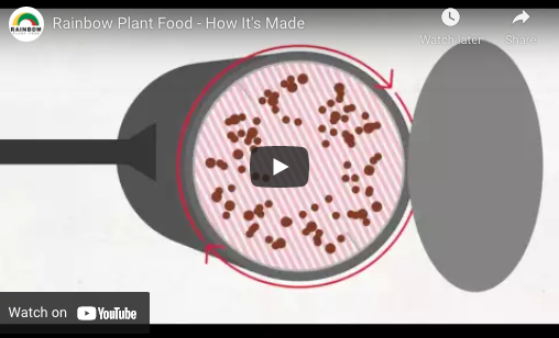Rainbow Plant Food – How It’s Made