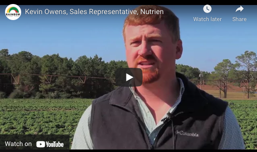 Kevin Owens, National Sales Manager