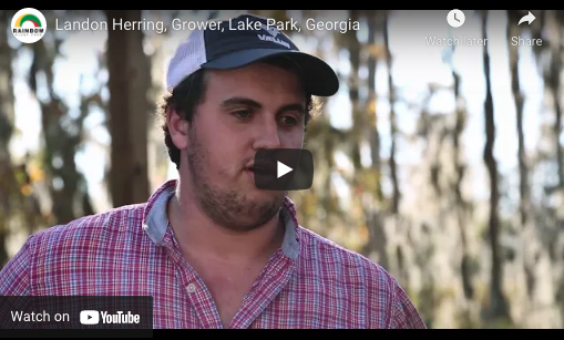 Landon Herring, Grower, Lake Park, Georgia