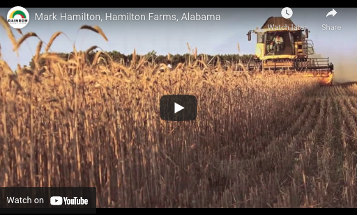 Mark Hamilton, Hamilton Farms, Alabama