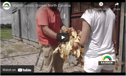 Matt Grissom, Grower, North Carolina