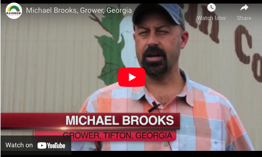 Michael Brooks, Grower, Georgia