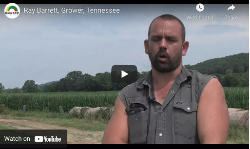 Ray Barrett, Grower, Tennessee