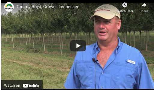 Tommy Boyd, Grower, Tennessee