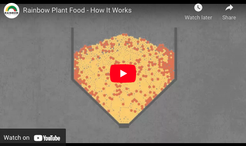 Rainbow Plant Food – How It Works