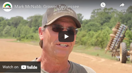 Mark McNabb, Grower, Tennessee