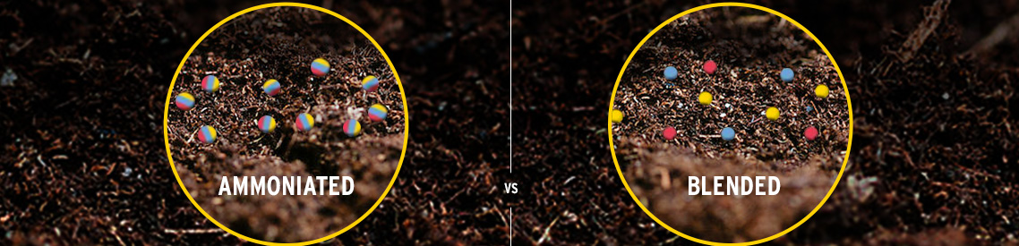 Differences Between Blended and Ammoniated Fertilizers