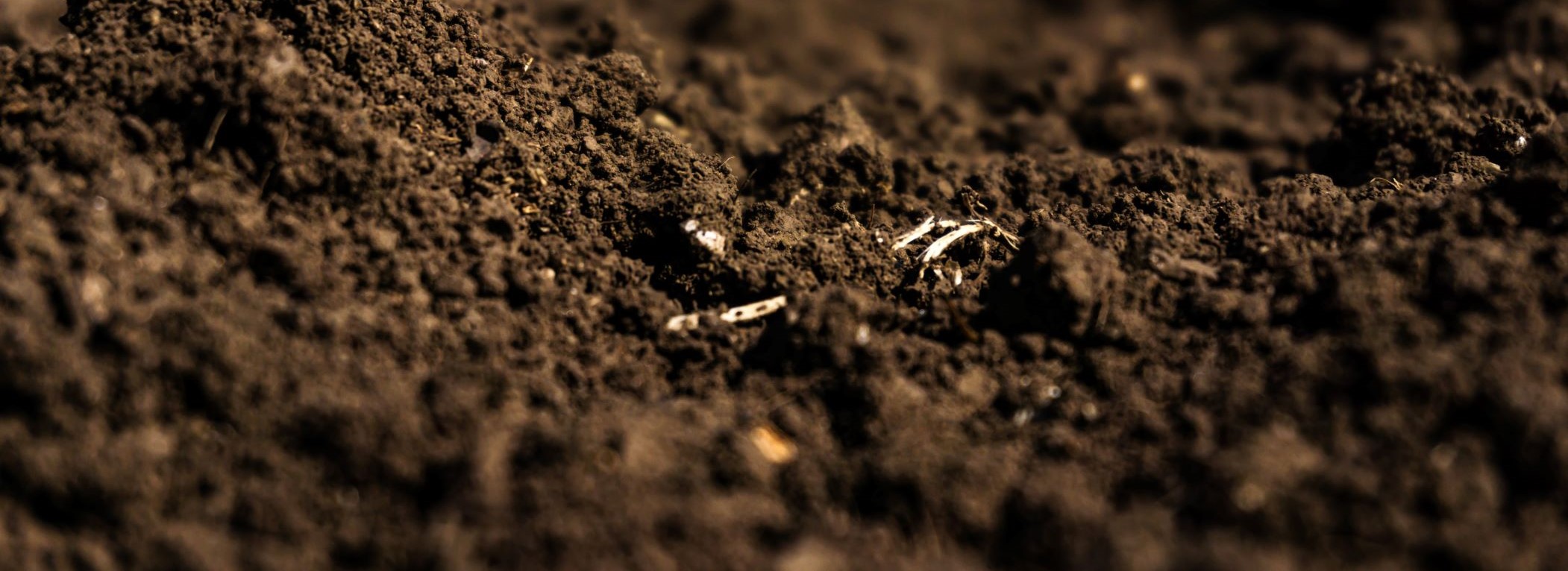 Ask The Agronomist by Rainbow Plant Food