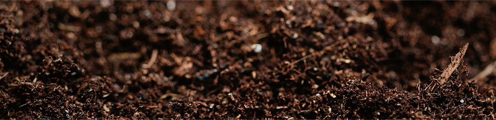 How Nutrients React With One Another In the Soil
