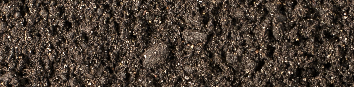 The Importance of Soil Sampling