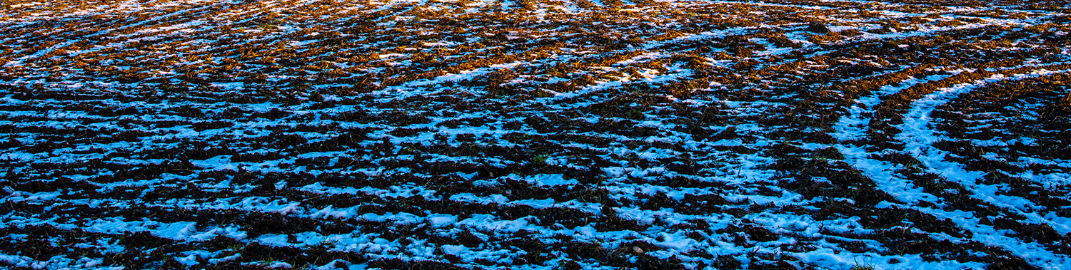 So, what happens to soil nutrients in winter?