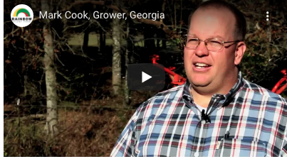 Mark Cook, Grower, Georgia